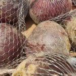 jak-rychle-uvarit-cervenou-repu-a-zachovat-vsechny-vitaminy-jednoducha.jpg